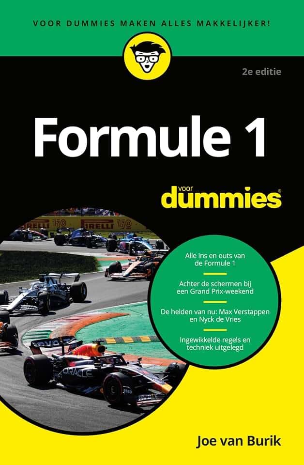 2e editie (Voor Dummies)