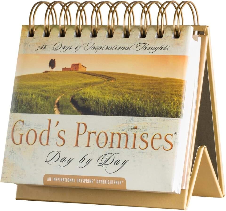 DaySpring 7872 Ewiger Kalender God's Promises Day by Day: 365 Days of Inspriational Thoughts – An Inspirational DayBrightener