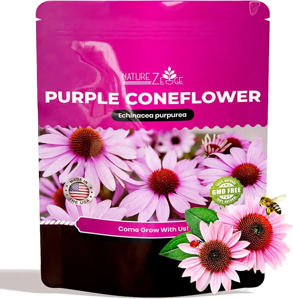 Echinacea Seeds, Purple Coneflower Seeds, Over 2300 Echinacea Seeds for Planting, Non-GMO, Open Pollinated, Heirloom Flower Seeds
