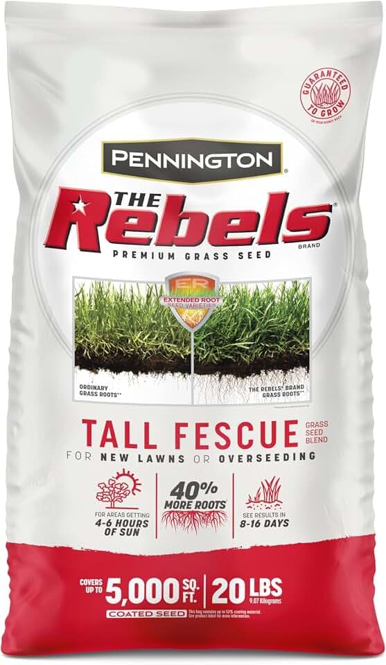 Pennington The Rebels Tall Fescue Grass Seeds for Lawn, 20 lb