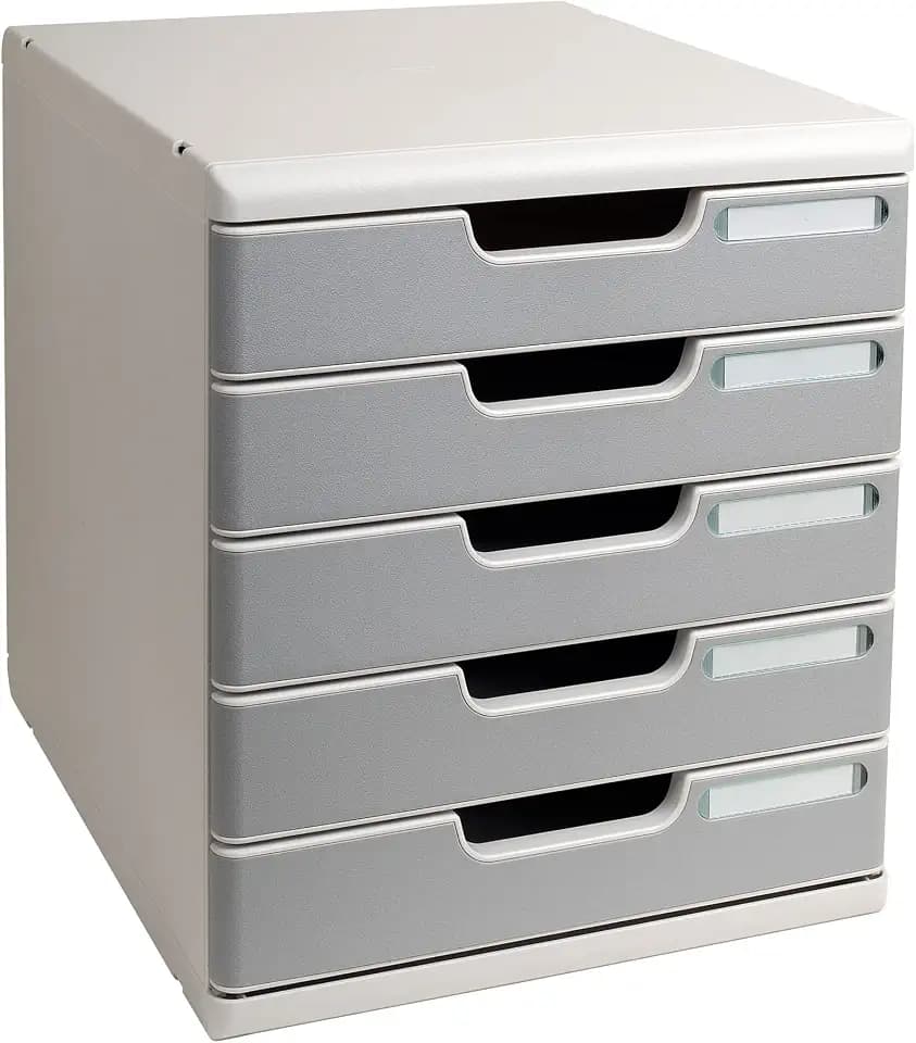 Exacompta 301041D Ablagebox Modulo mit 5 Schubladen für DIN A4+ Dokumente. Belastbare Schubladenbox mit hoher Kapazität für mehr Platz auf dem Schreibtisch grau/steingrau