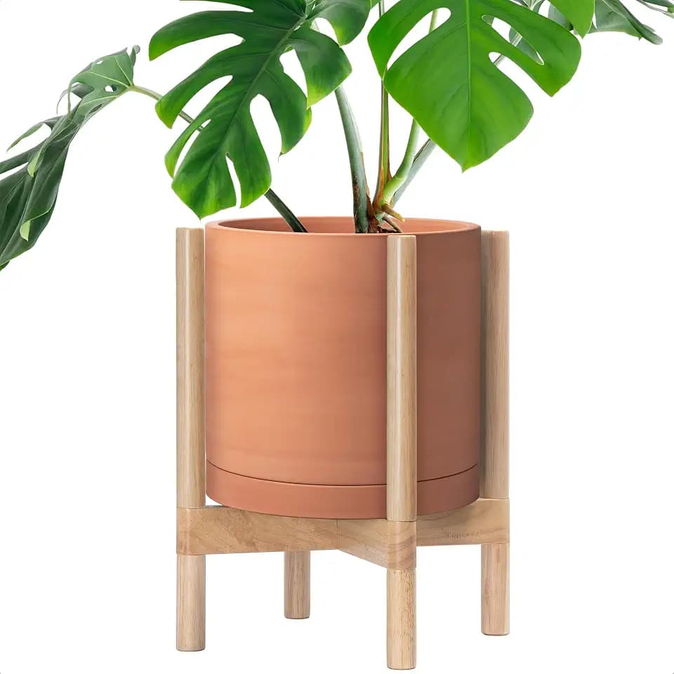 D'vine Dev Terracotta Pot with Natural Wood Stand, 12 in, 55-B-J-5