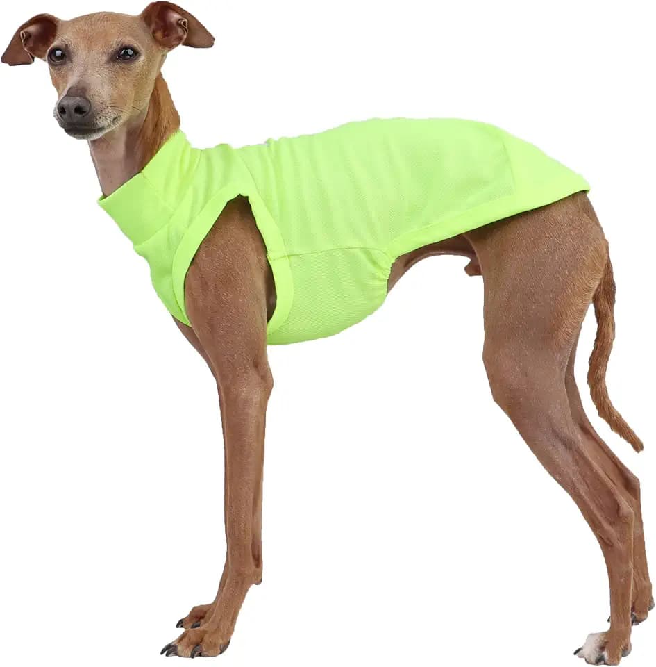 D Doggy Star Italian Greyhound Clothes Summer Cool T Shirts Rashguard Swimsuit Whippet for Dogs (S,Cool Neon Yellow)