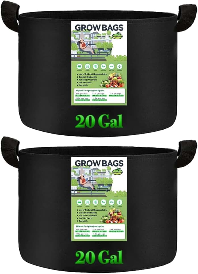 2Packs 20 Gallon Grow Bags, Fabric Plant Grow Bags