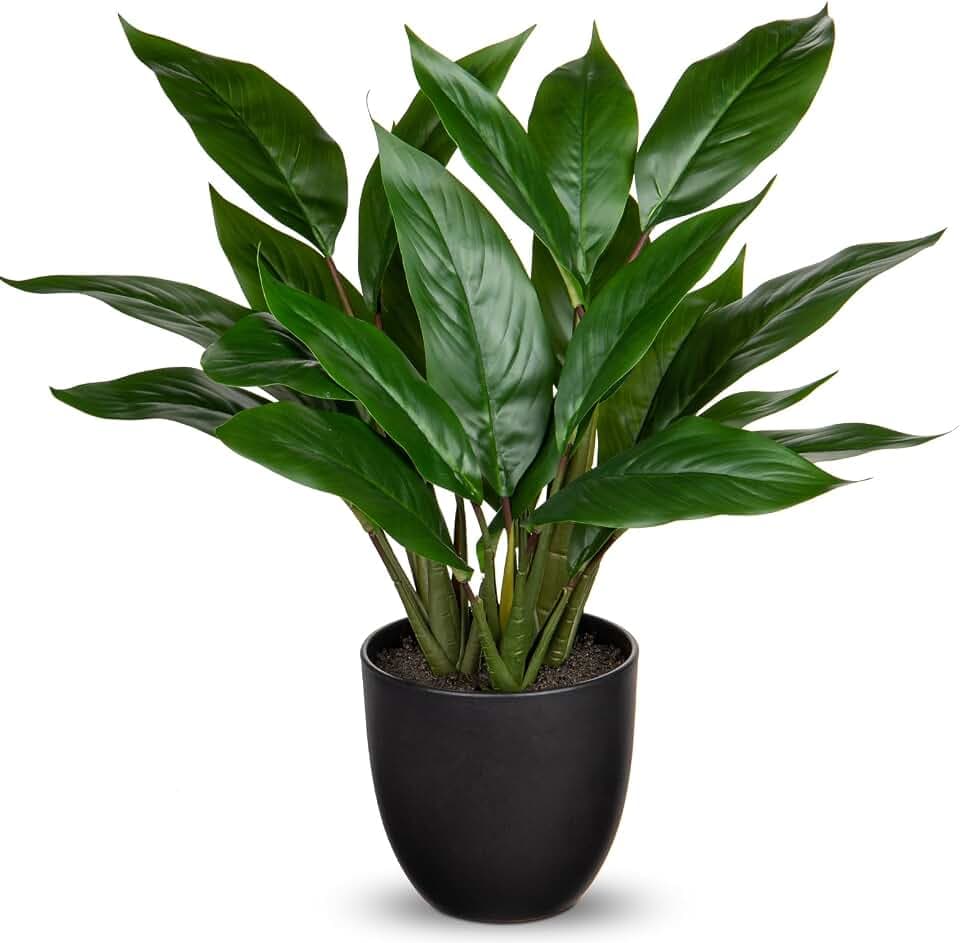 Briful Künstliche Pflanze Wie Echt Kunstpflanze Dekopflanze Calathea Buschig mit 22 Blättern im Kunststofftopf Zimmerpflanze, Höhe 43cm, Grün