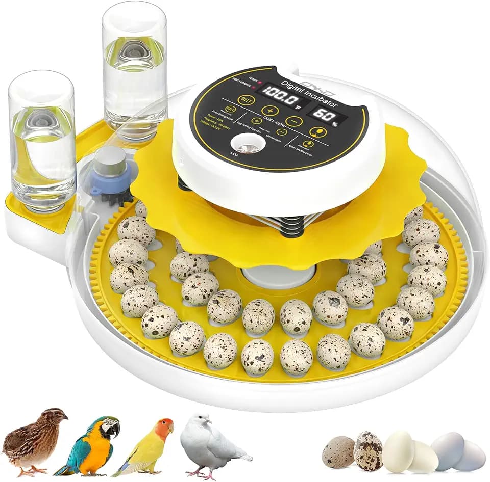 40 Quail Egg Incubator with Automatic Egg Turning Humidity Control Eggs