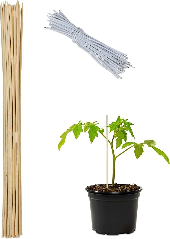 Relaxdays Pflanzstäbe Bambus, 50er Set, HxD: 60 x 0,6 cm, Rankhilfe für Pflanzen, Bambusstäbe mit Bindedraht, Natur