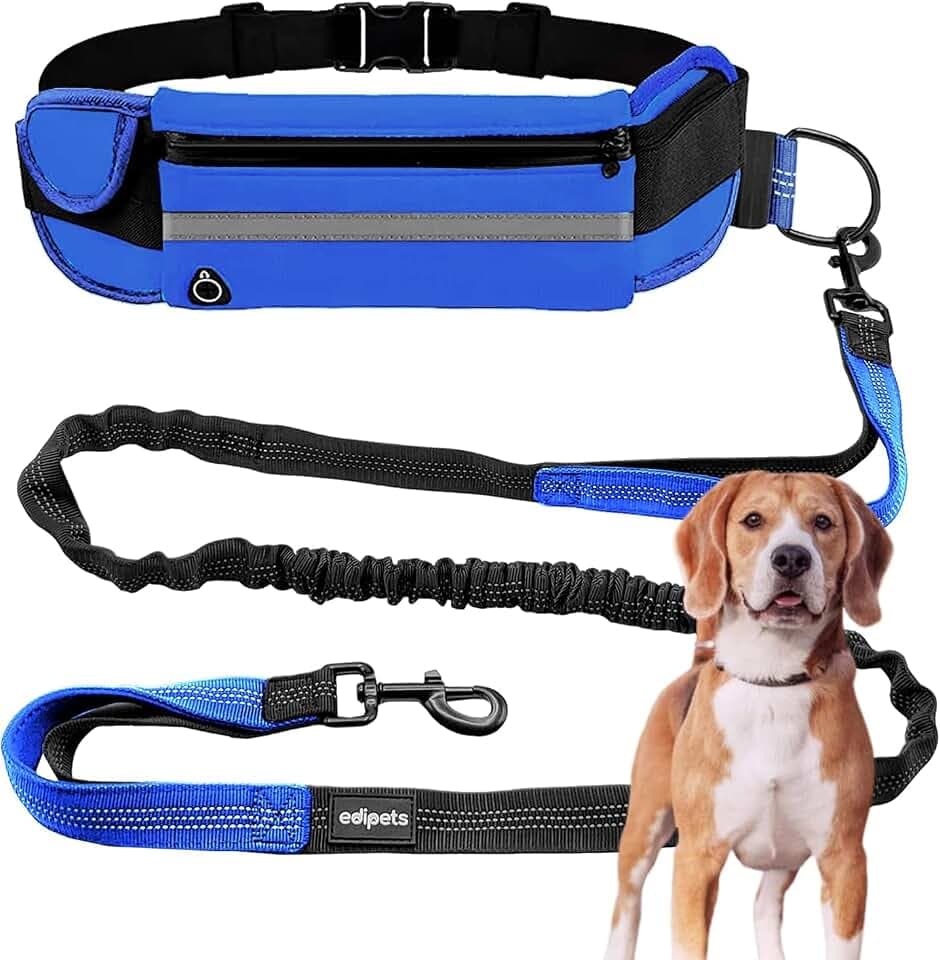 Edipets, Joggingleine Hunde, Freihändig, Laufen, Wandern, Gurtband, Anti-Stress, Reflektierend, 160-220 cm (Blau)