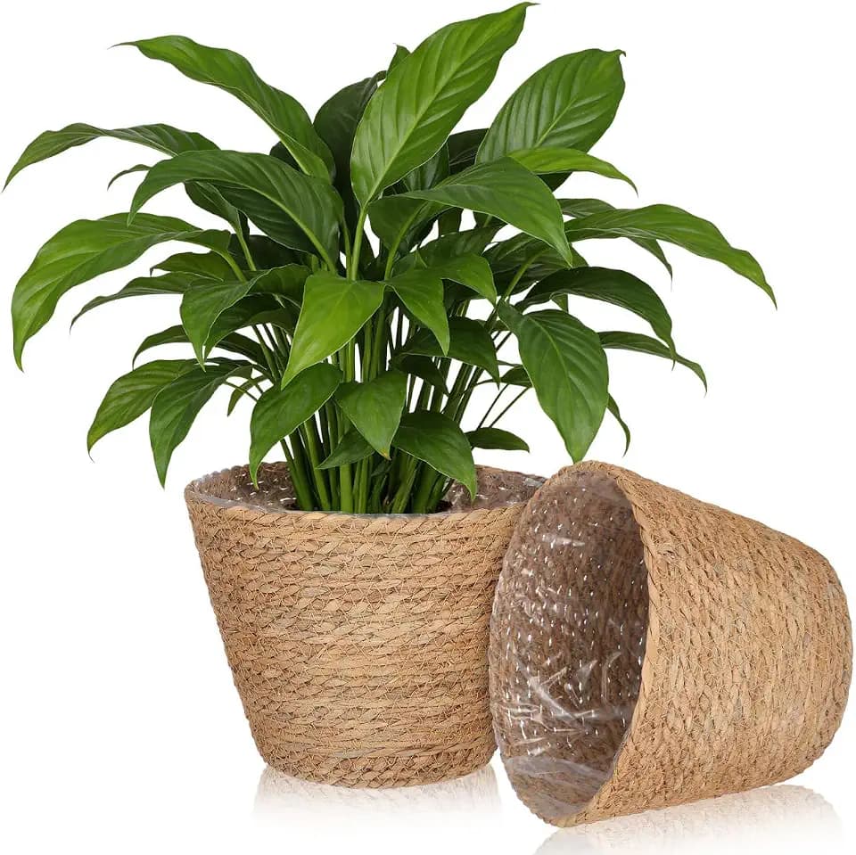 BESPORTBLE 2pcs Rattan Flower Basket Woven Plant Basket for Indoor Rustic Wall Flower Arrangement