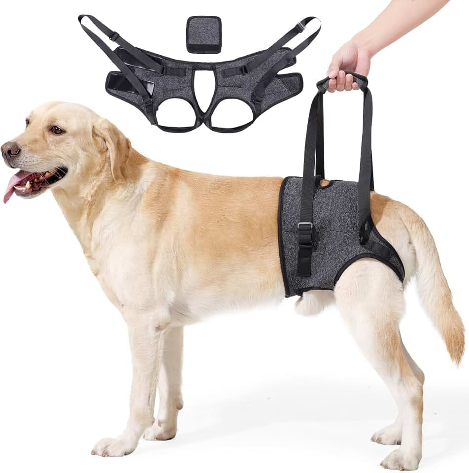 Verstellbares Hundegeschirr für Hinterbein–Stützgeschirr/Schlaufe mit Tragehilfe &Griff für Behinderte, Verletzte & ältere Kleine Mittlere Große Hunde–Mobilitätshilfe & Hebegurt (Grau, L)