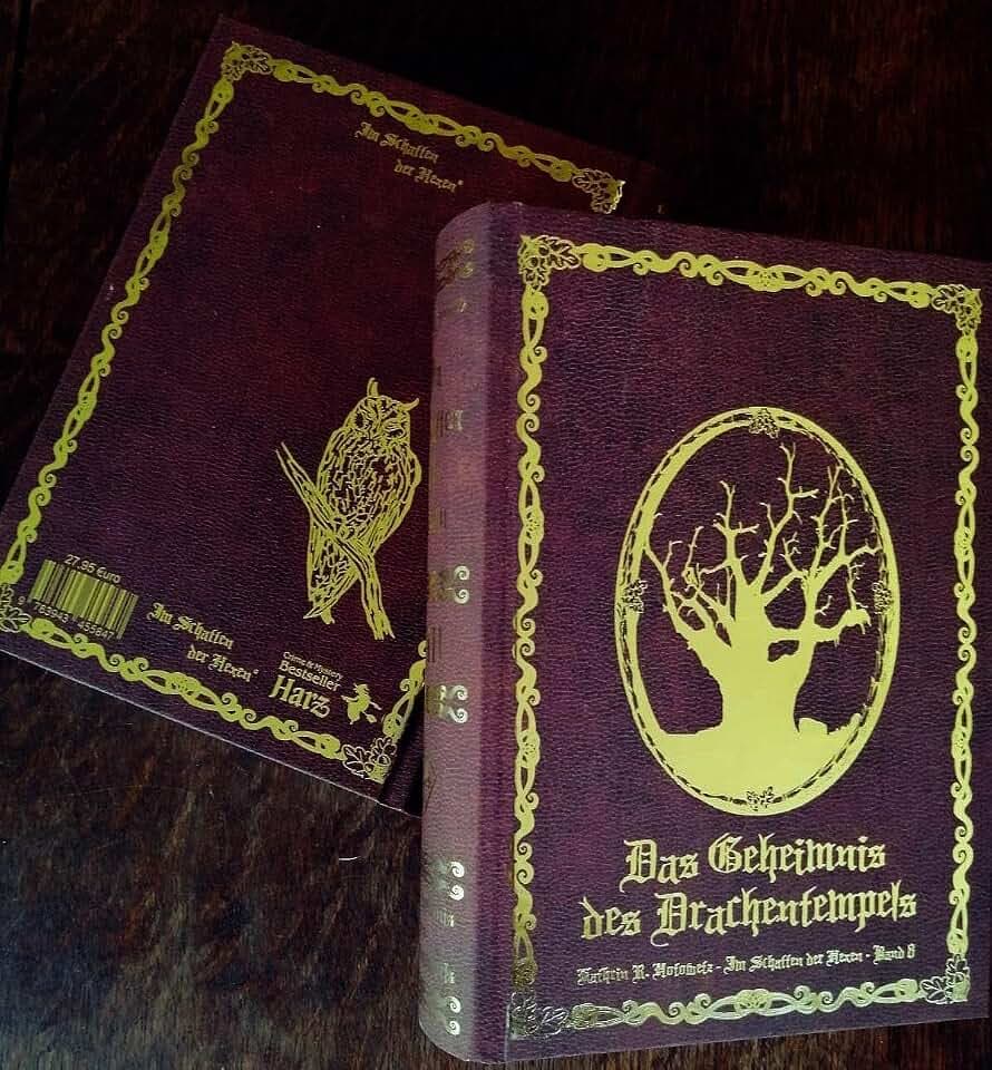 Im Schatten der Hexen VIII: Das Geheimnis des Drachentempels - Schmuckedition Bd. 8 - Ein mystischer Harz-Krimi (Im Schatten der Hexen: Jage nicht, was Du nicht töten kannst!)
