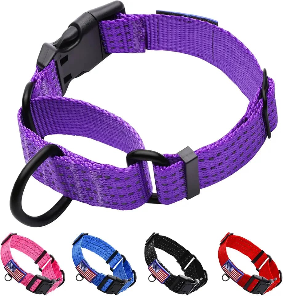 Martingale Collar for Dogs with Quick Release Buckle,L, Purple