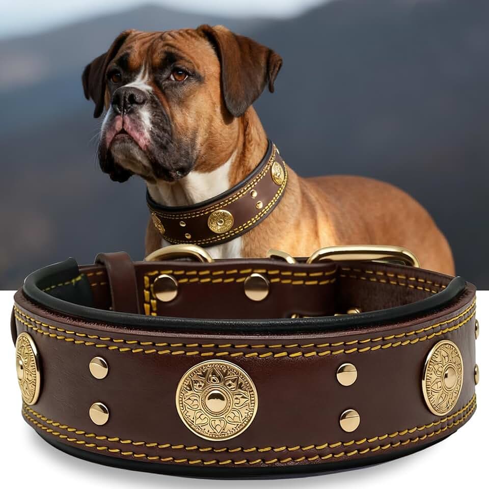 Hundehalsband Leder 5 cm Breites,Handgefertigt Weich und Luxuriös,BN-GD S