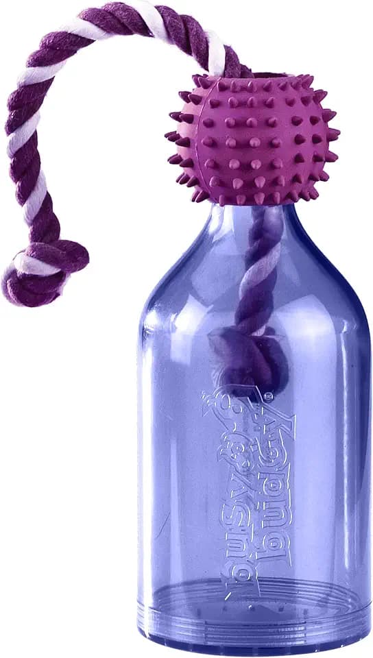 PetSafe Busy Buddy Tug-A-Jug Treat Dispensing Dog Toy, Small
