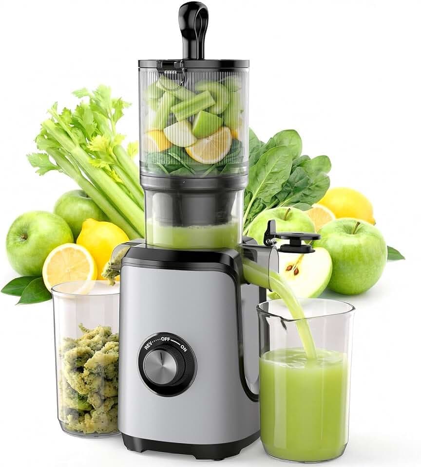 NEWBULIG Cold Press Juicer Machines for Vegetables & Fruits, Silver