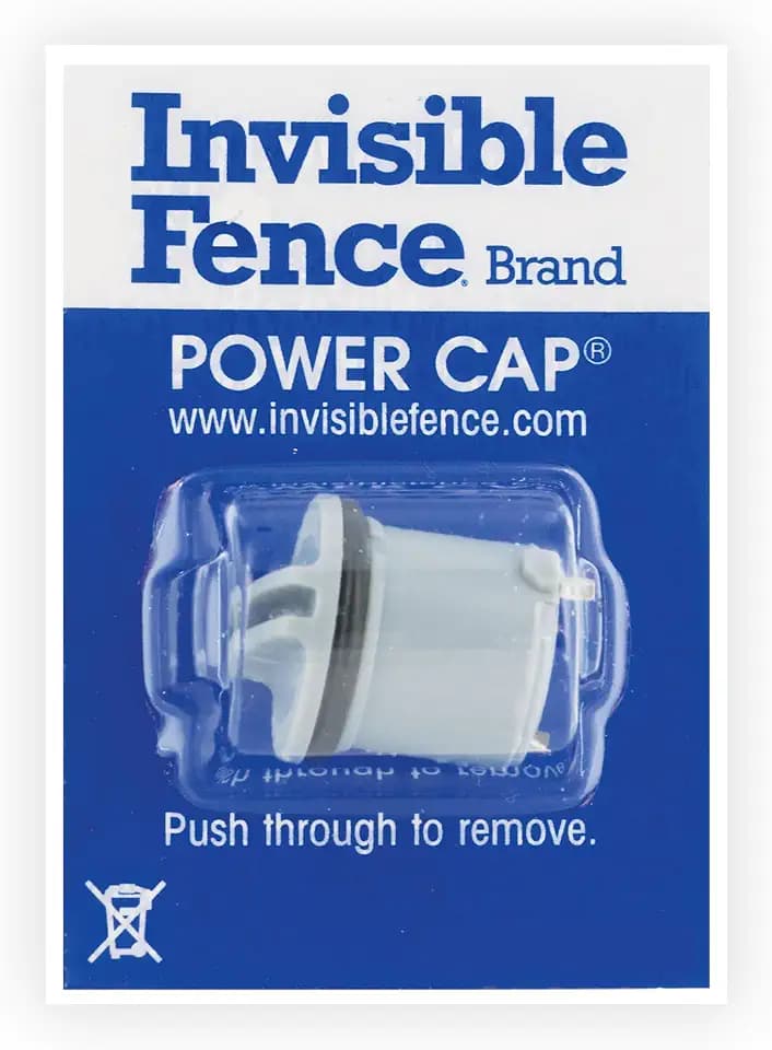 Invisible Fence Brand Power Cap Battery, 1-Pack