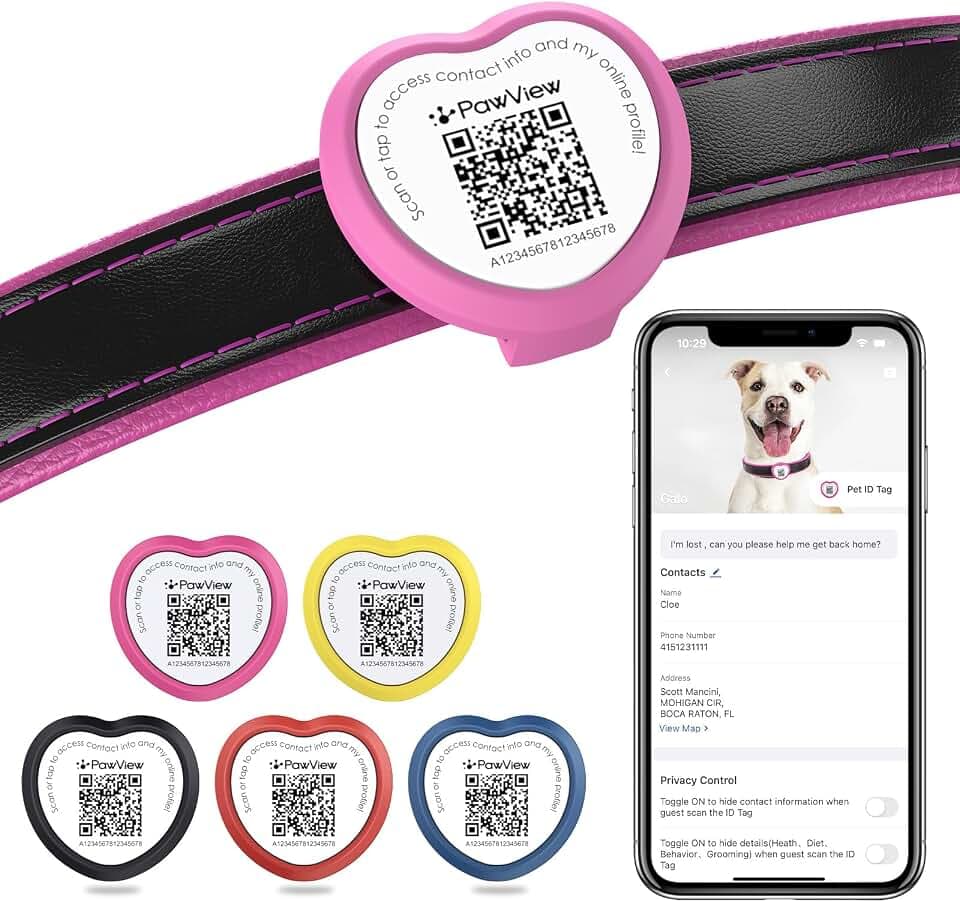 Personalized Dog Tags, QR Code Pet ID Tag, Slide-On, Magenta