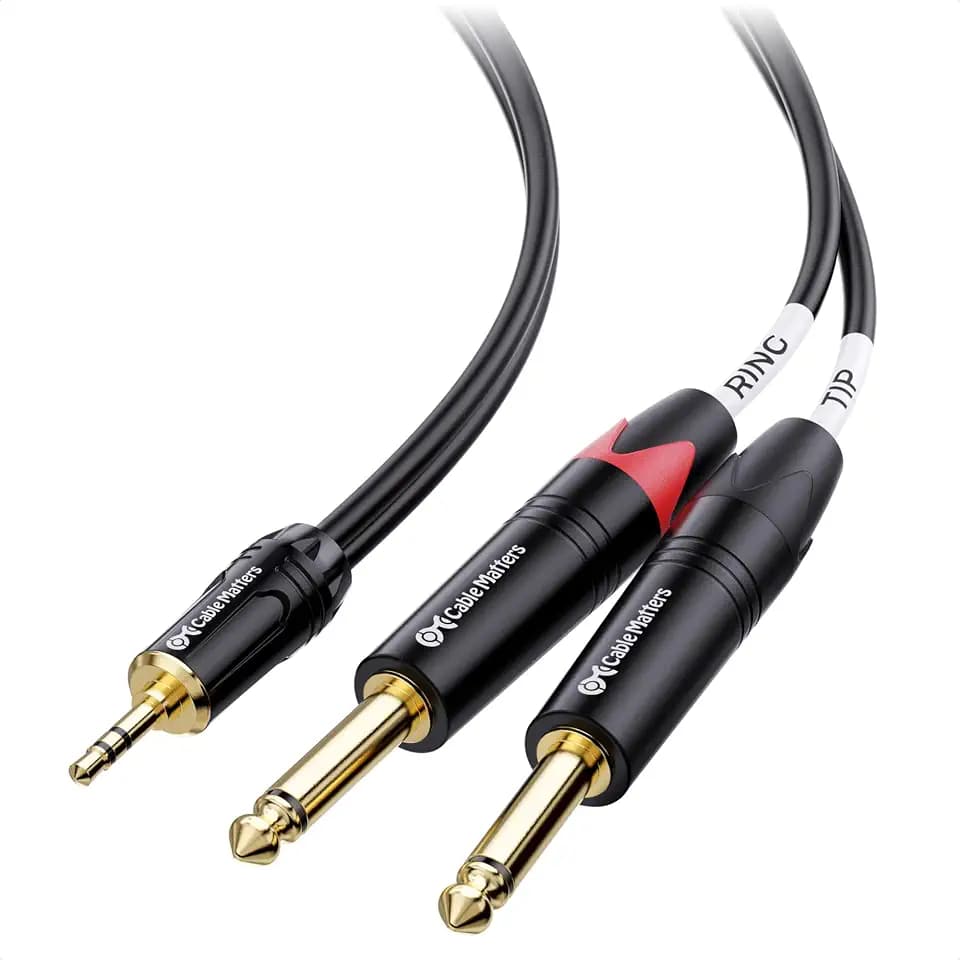 Cable Matters 3.5mm TRS to Dual 6.35mm TS Breakout Cable, 10ft