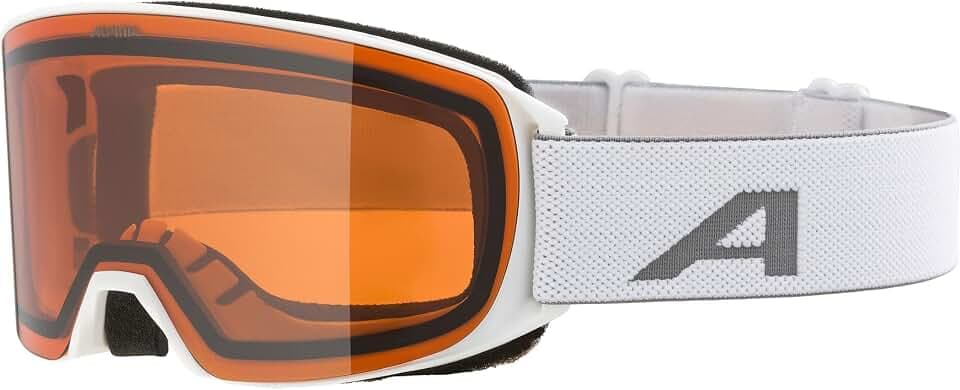 ALPINA NAKISKA - beschlagfreie, rahmenlose OTG Skibrille mit 100% UV-Schutz für Erwachsene