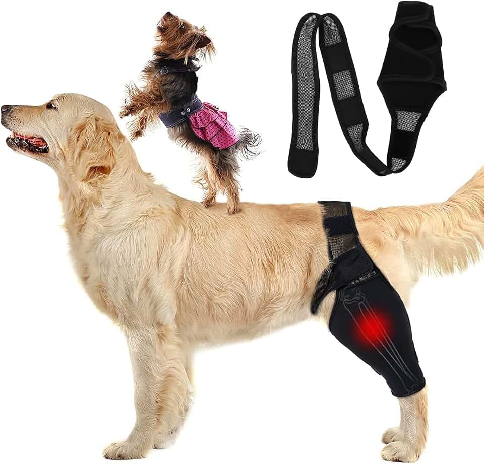 Ellbogenschützer für Hunde, Ellbogenschützer für Hunde, Ellbogen- und Schulterunterstützung, Ellbogenhygrom, Dysplasie, Osteoarthritis, Ellbogenschwielen, Druckgeschwüre und Schulterluxation(XL)