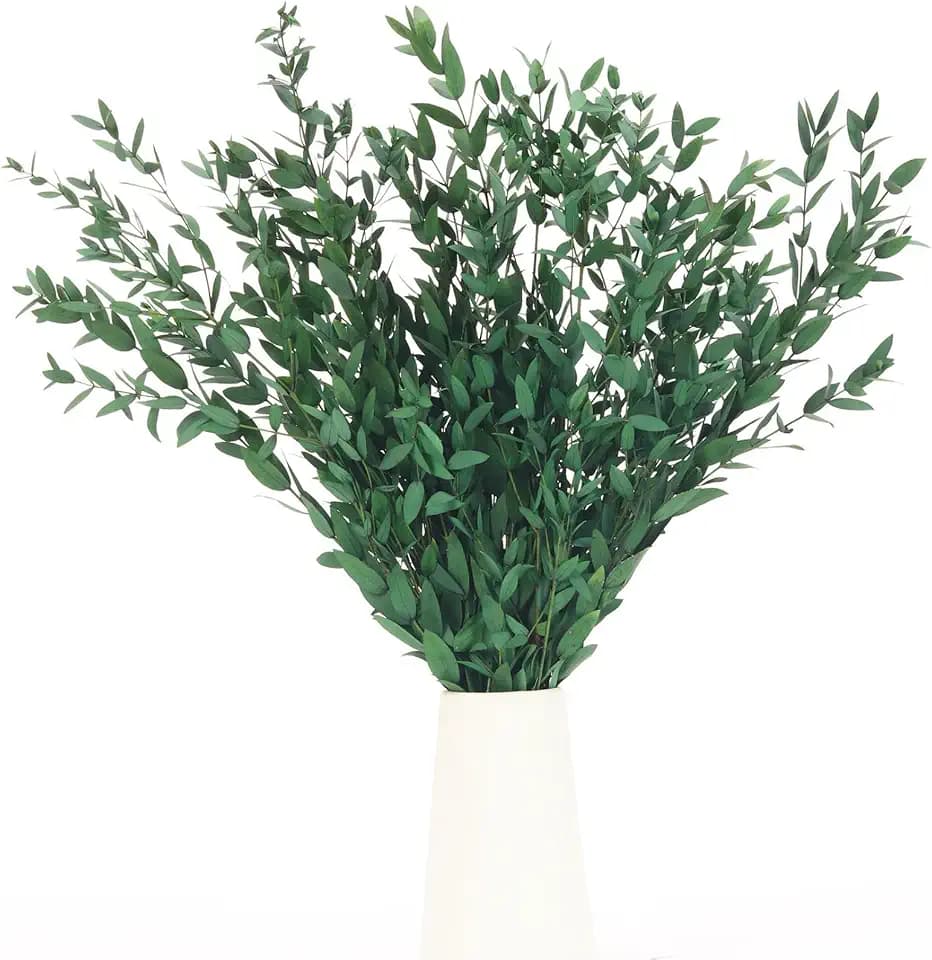 7-12 Pcs Preserved Eucalyptus Stems, 14-17" Greenery Leaves for Vase Filler