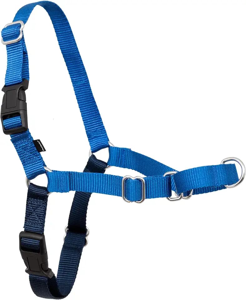 PetSafe Easy Walk Harness, No Pull Dog Harness, Royal Blue, Medium/Large