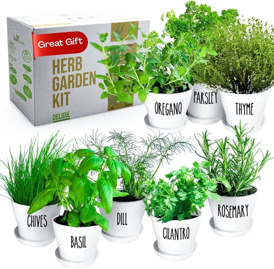 Herb Garden Starter Kit - 8 USA Culinary Herbs