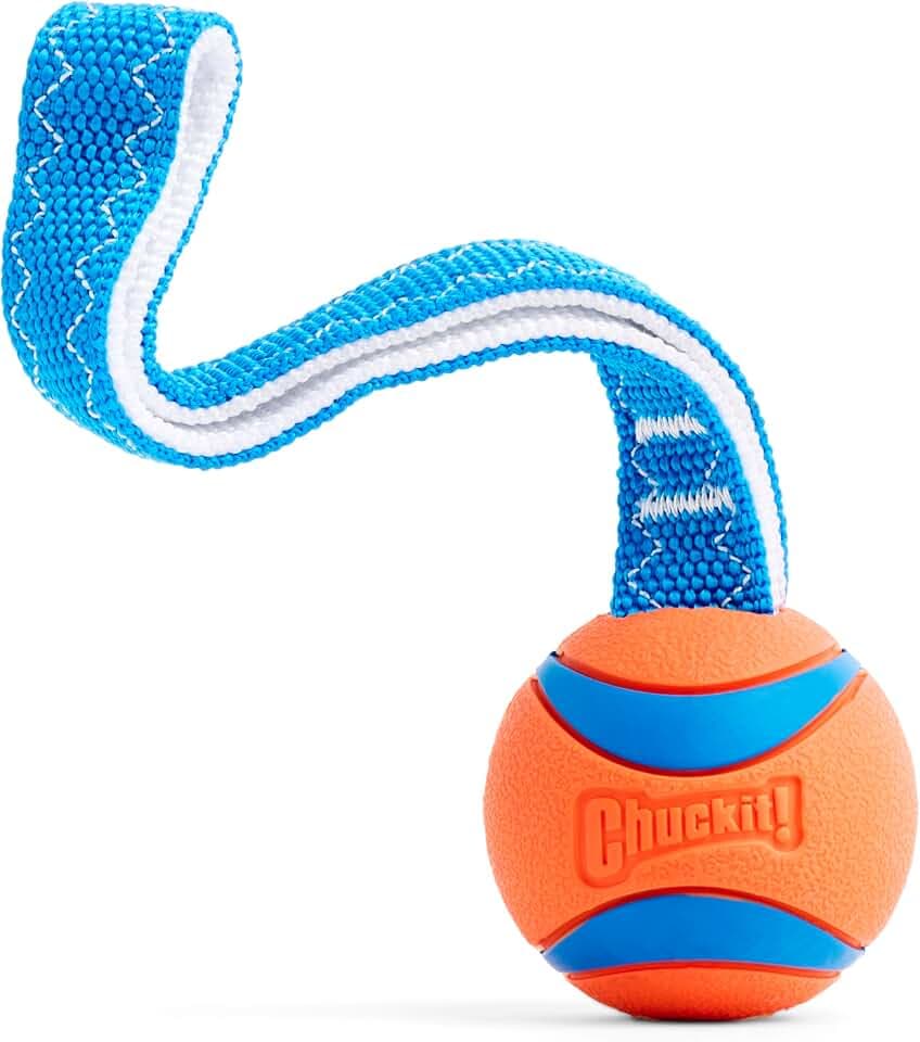 Chuckit! CH231201 Ultra Tug Medium