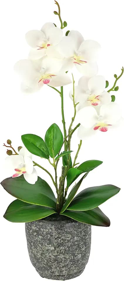 Kunstblume Schmetterling Orchidee mit Blätter und Luftwurzeln im Topf aus Keramik Künstliche Blume Kunstorchidee Phalaenopsis mit Übertopf Kunstpflanze Hochzeit Deko Seidenblume Real Touch Blüte