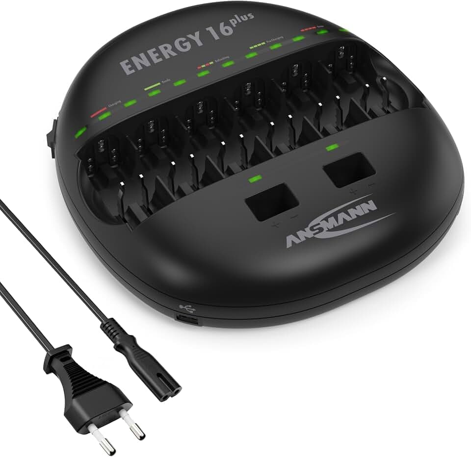 ANSMANN Akku Ladegerät mit LED Anzeige für NI-MH NI-CD AAA AA Baby C Mono D 9V Block Akku, Schnellladung, USB-ladefähige Geräte laden, Akkupflege