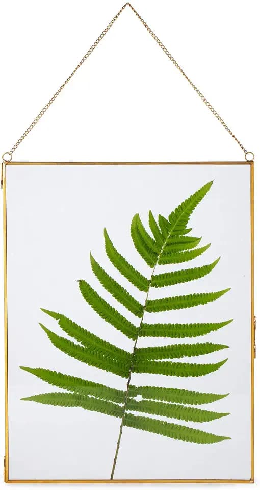 NCYP 8" x 10" Wall Hanging Brass Glass Display Frame for Artwork Certificate, Photo Picture, Pressed Dried Flowers, Ornament Plant Specimen Clip, Modern Vertical Decor (Glass Frame Only)