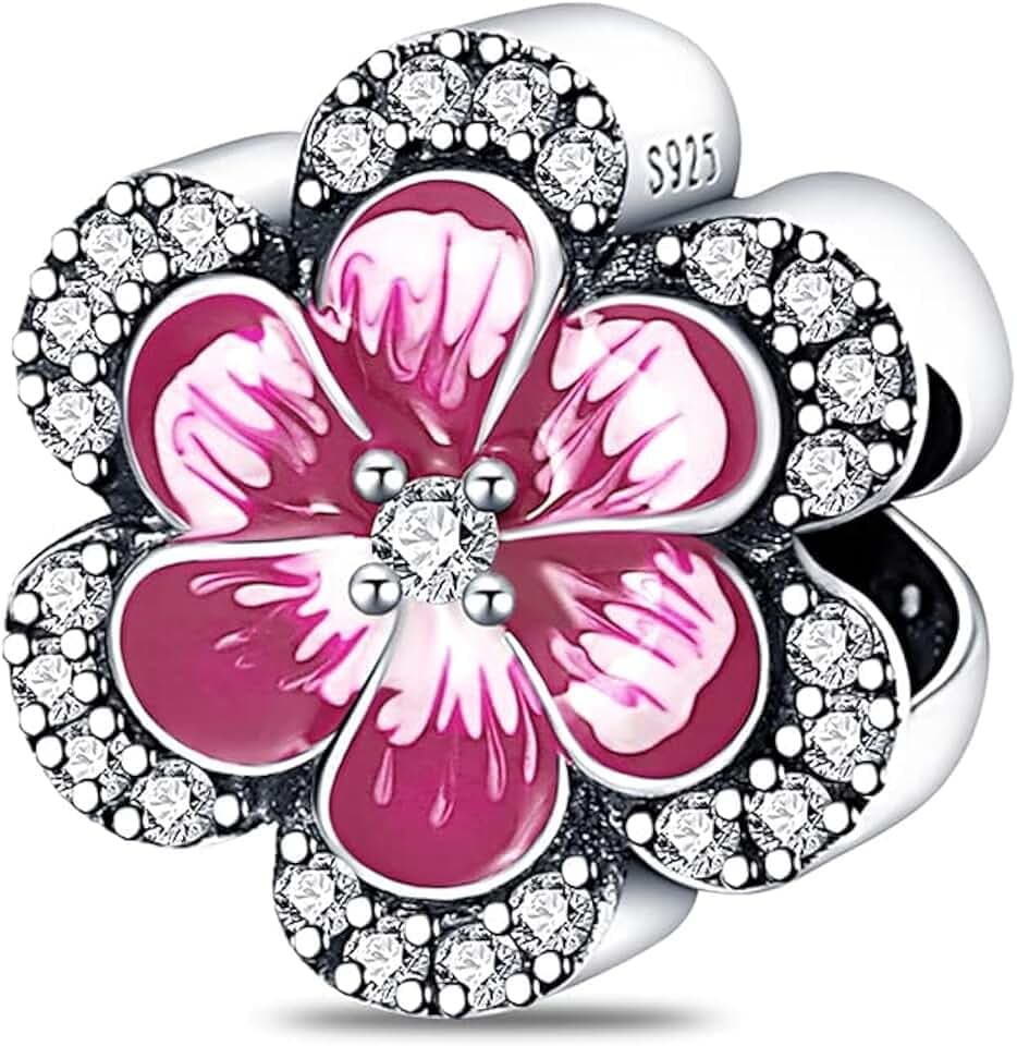 Pandach Damen Charm Anhänger für Armband 925 Sterling Silber Charms Beads passend für Armband und Halskette, Kompatibel mit Europäischen Armbänder für Frauen Mädchen C4