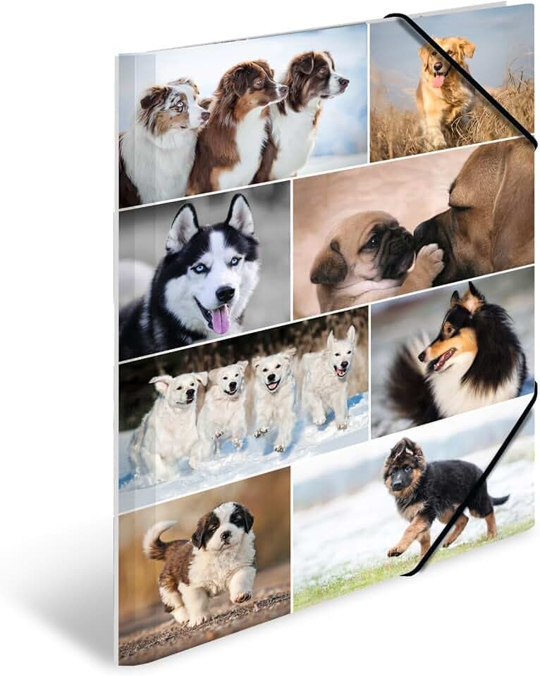 HERMA Sammelmappe A3 Hunde, Kinder Eckspanner-Mappe aus Pappe mit Tier Motiv, Gummizug, Innenklappen und Innendruck für Jungen und Mädchen
