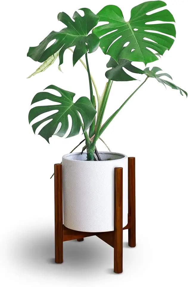 Casual Home Mid-Century Modern, Fit Up to 12", Pot NOT Included Wood Plant Display Stand, Antique Mahogany