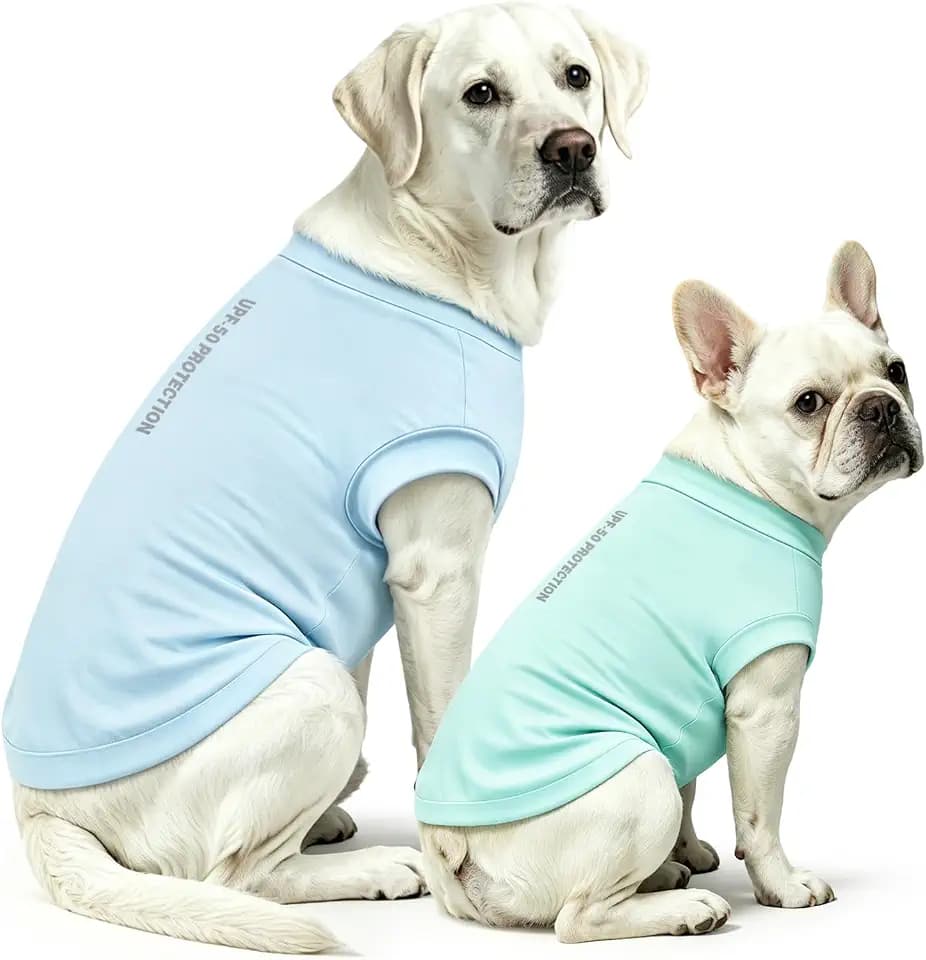 Idepet 2 Pack Sun Protection Dogs Shirts UPF 50+ Lightweight Breathable Quick Dry Dog T-Shirt Puppy Cooling Vest Summer Clothes for Small Medium Large Dogs (Blue&Green, XL)