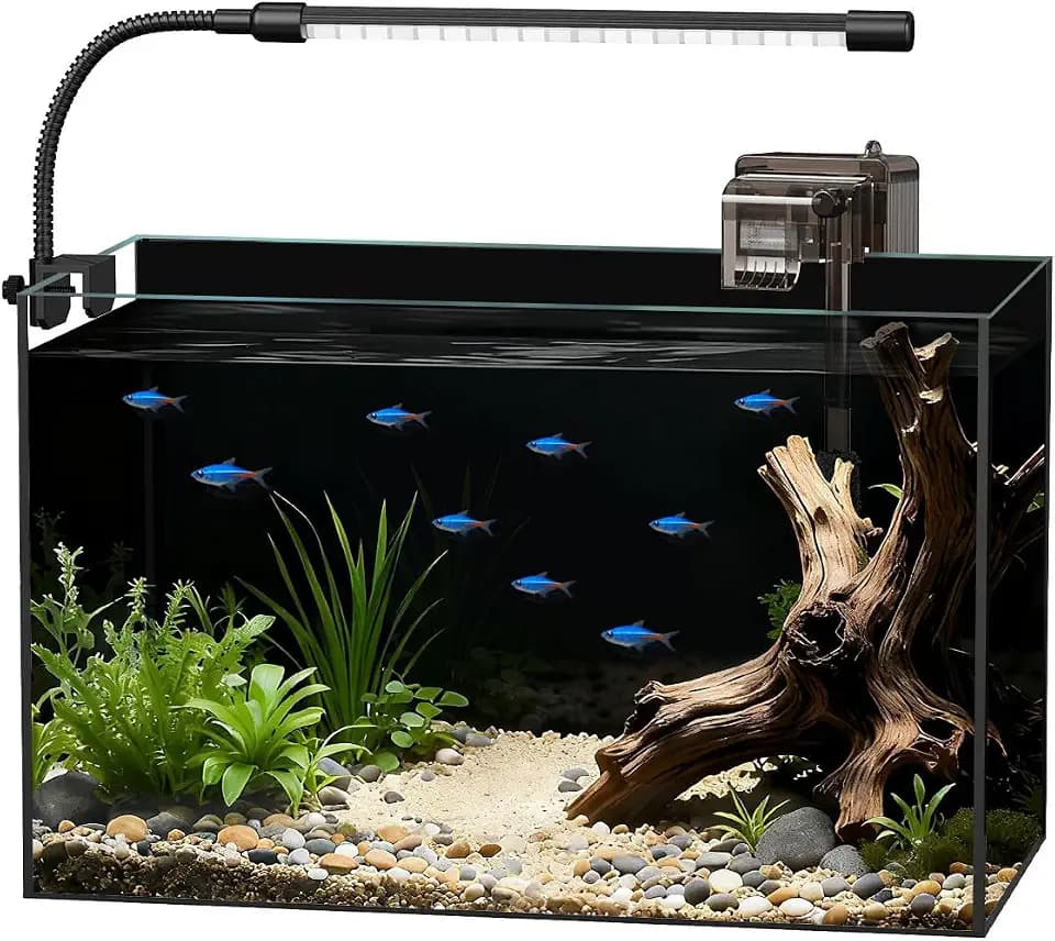 5 Gallon Rimless Glass Fish Tank Aquarium Starter Kit