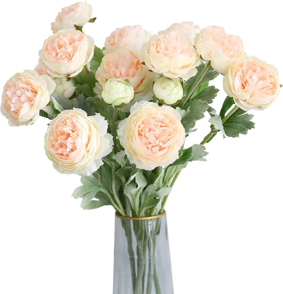 Htmeing 6PCS Artificial Ranunculus Flowers with Real Touch Stem for Household Arrangement (Champagne)
