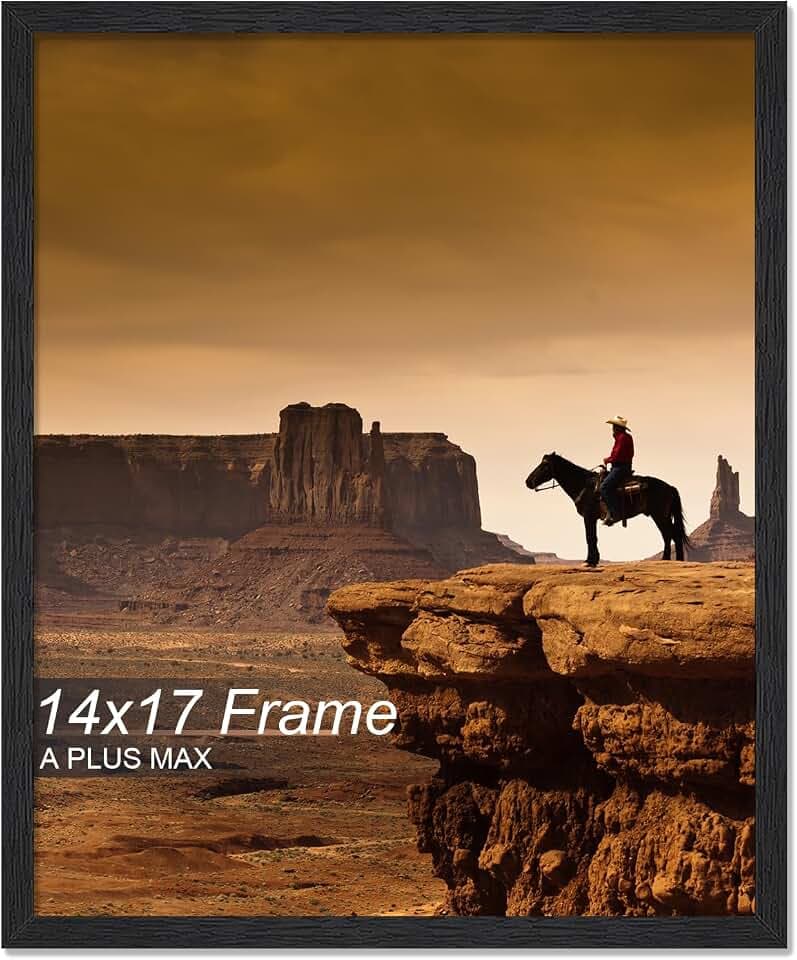 A PLUS MAX 14x17 Picture Frame Black Light Weight Wall Mount
