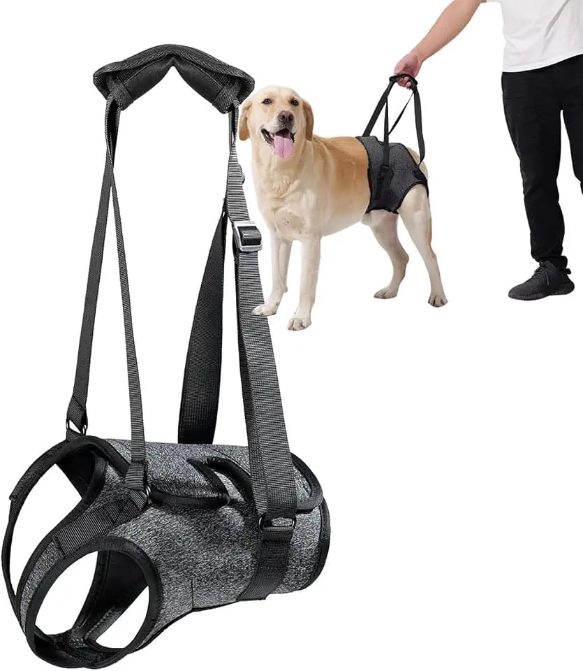 Dog Halter Harnesses, Adjustable Lift Hanress For Large Dogs, Dog Sling For Medium Dogs Hind Leg Support To Help Rehabilitate, Soft Padded Dog Support Harness For Elderly, Injured, Arthritic(Medium)