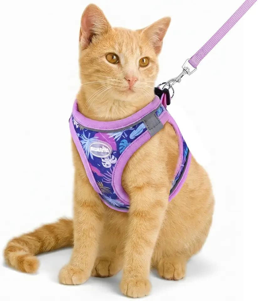 Cat Vest Harness and Leash Set,Escape Proof for Kitten Purple XS