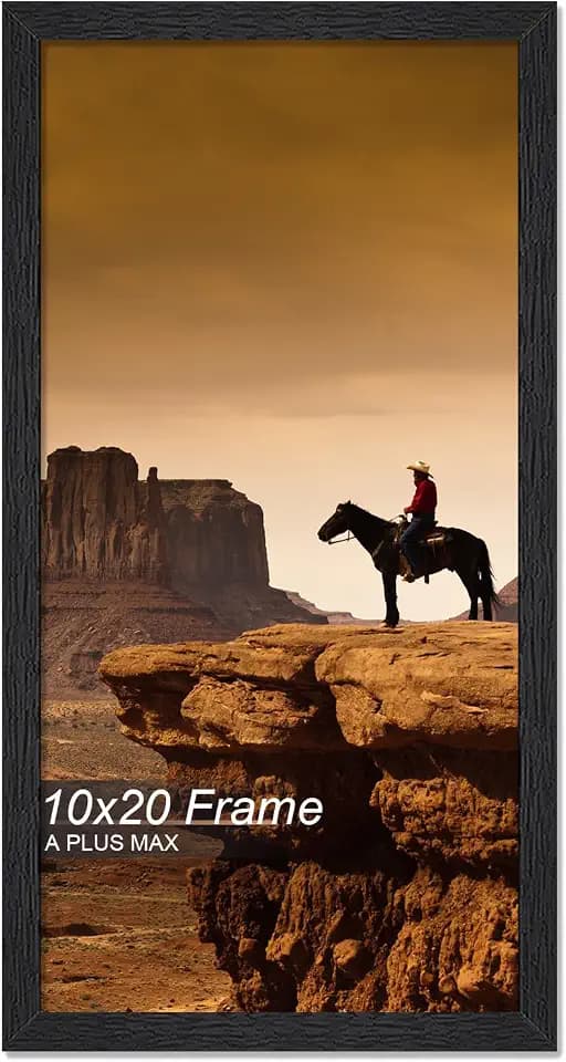 A PLUS MAX 10x20 Picture Frame Black Light Weight Wall Mount