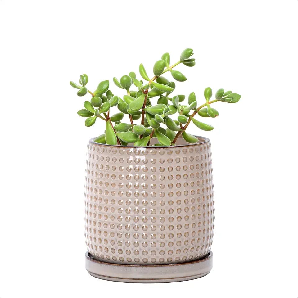 D'vine Dev Beaded Ceramic Pot with Saucer, 4 in, Light Brown, 27-C-Z-4