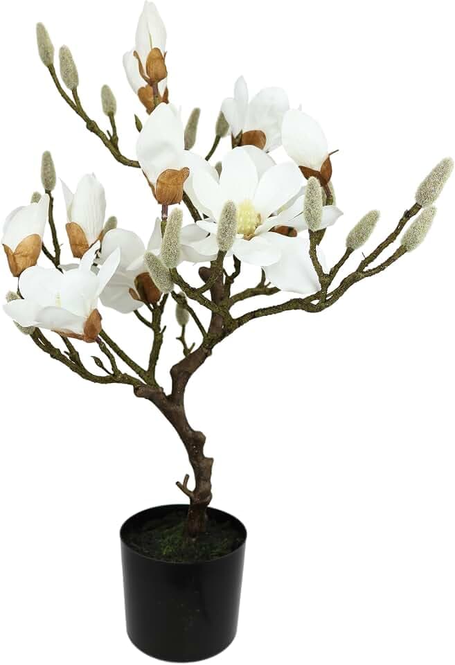 Kunstbaum Magnolie im Topf Magnolienbaum künstlich Kunstpflanze Kunstblume Blume Zimmerpflanze Topfblumen Kleiner Deko Magnolienzweig Blüten Frühjahrsblumen Frühjahrsdeko Frühjahrsblüher Pflanzelich