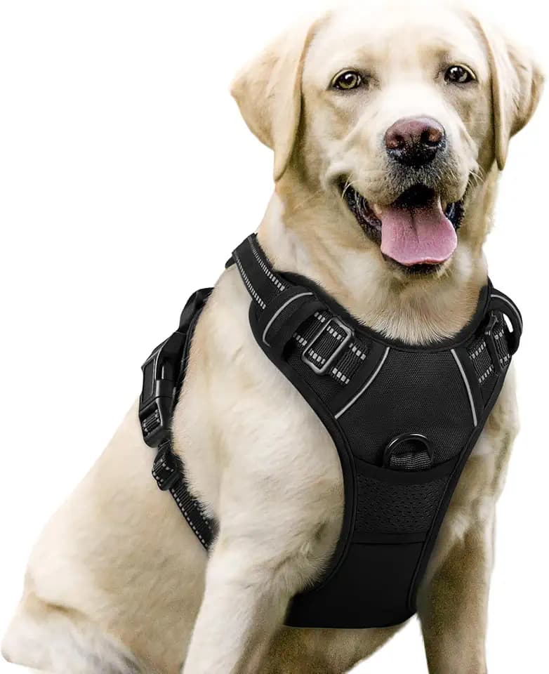 rabbitgoo Dog Harness, No Pull for Large Dogs with 2 Leash Clips, Pet Vest
