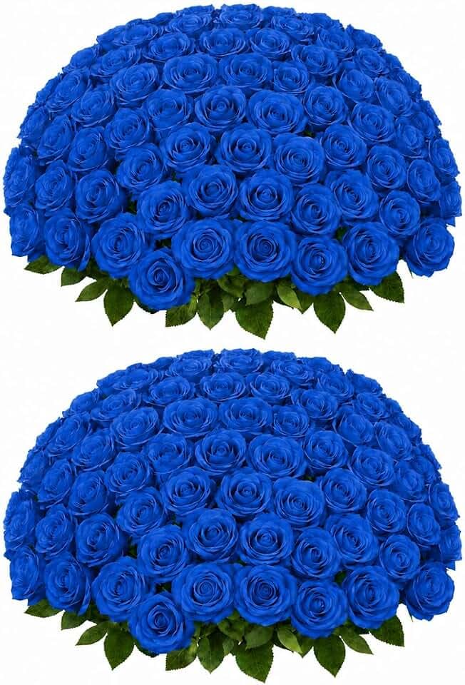50 PCS Royal Blue Roses