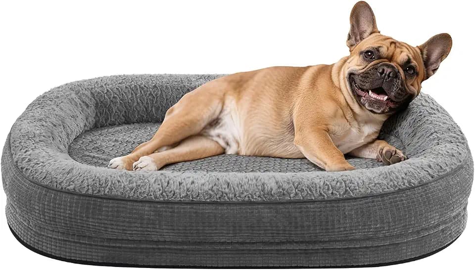 Pawk Orthopädisches Hundebett Kleine Hunde, 71x58cm, Grau | Hundebett Orthopädisch Vierseitiges Nackenrolle, Memory Foam Hundekorb Wasserdicht, Hundebetten Abnehmbar und Waschbar