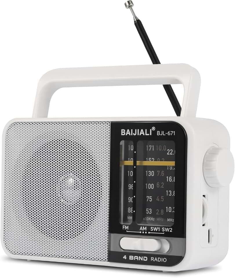 BAIJIALI AM FM SW Portable Radio (Battery/USB)