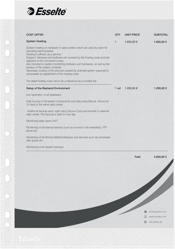 Esselte Prospekthüllen-Set, 100 Stück, A4 Format mit Universal-Lochung, Farblos mit matter Oberfläche, 0,043 mm PP-Folie, 56133