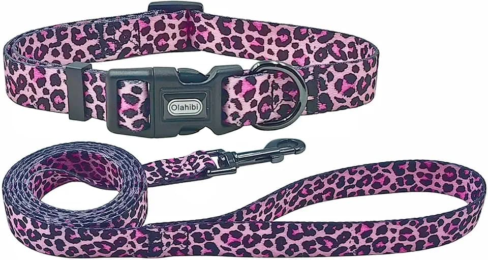Hundehalsband und Leine Set, Leopard-Muster, Polyester-Material, 150 cm passende Leine, für große Hunde (L, Buntes Leopardenmuster)