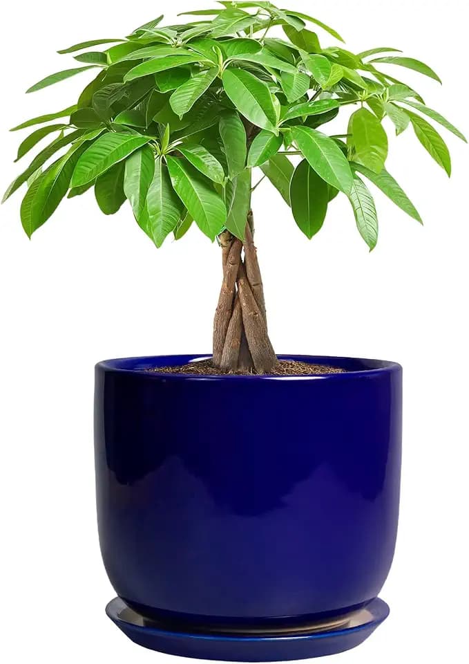 Ceramic Flower Pot 7 Inch - Cylinder 7 Inch Round Planter for Cactus Orchid Plants with Drainage Hole and Saucer, Home Office Room Desk Decor, Blue